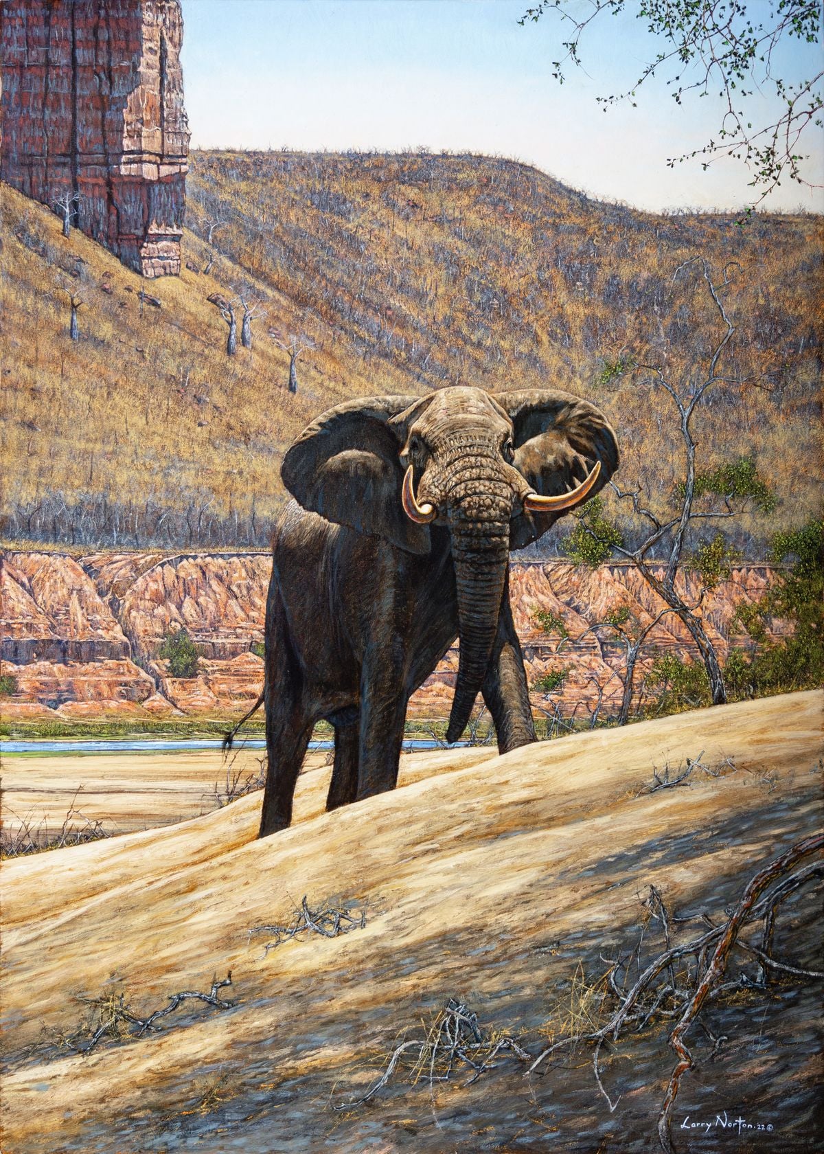 Beneath The Cliffs, Elephant Bull by Larry Norton