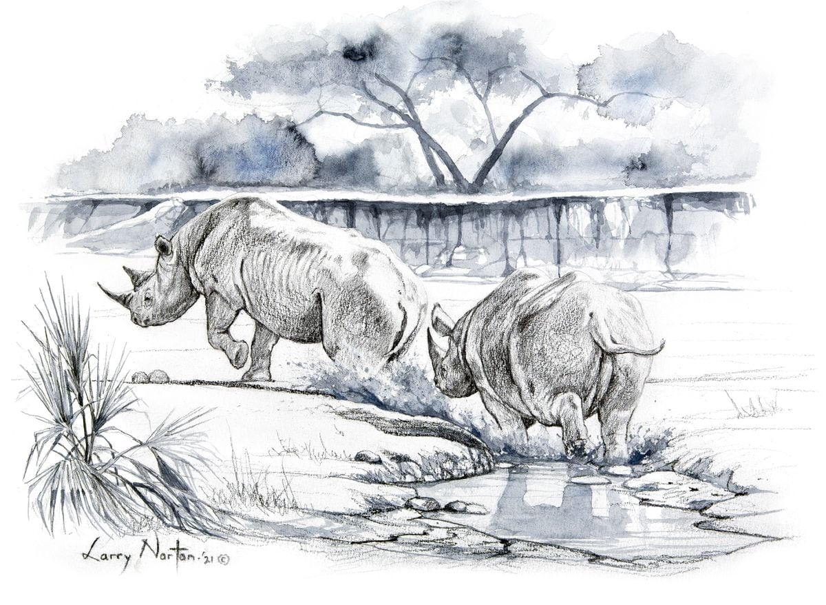 Uncooperative Wildlife Series (Giving it horns) by Larry Norton