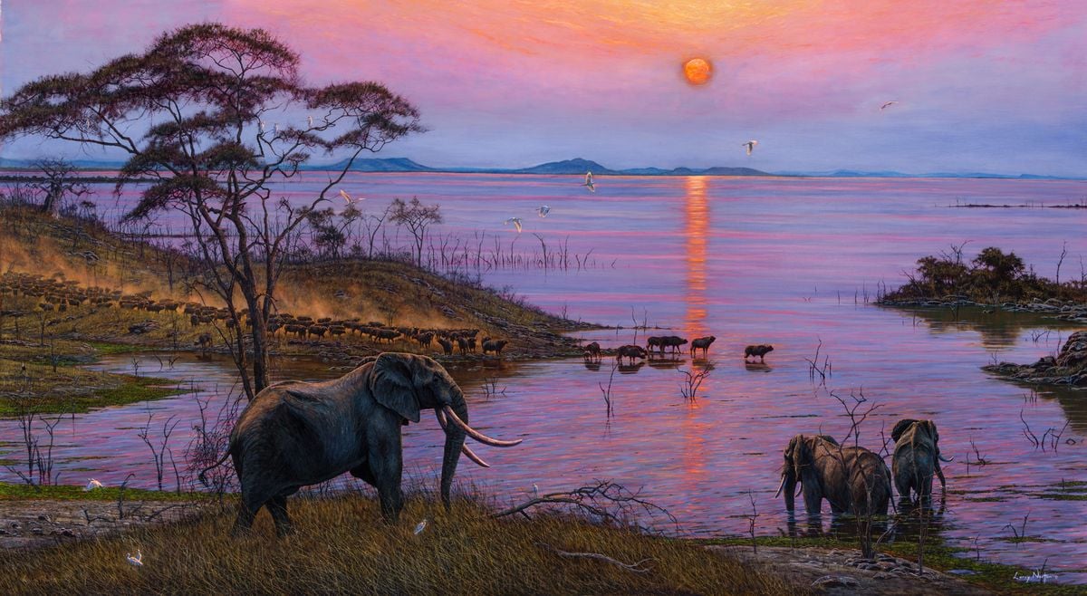 Kariba Days by Larry Norton
