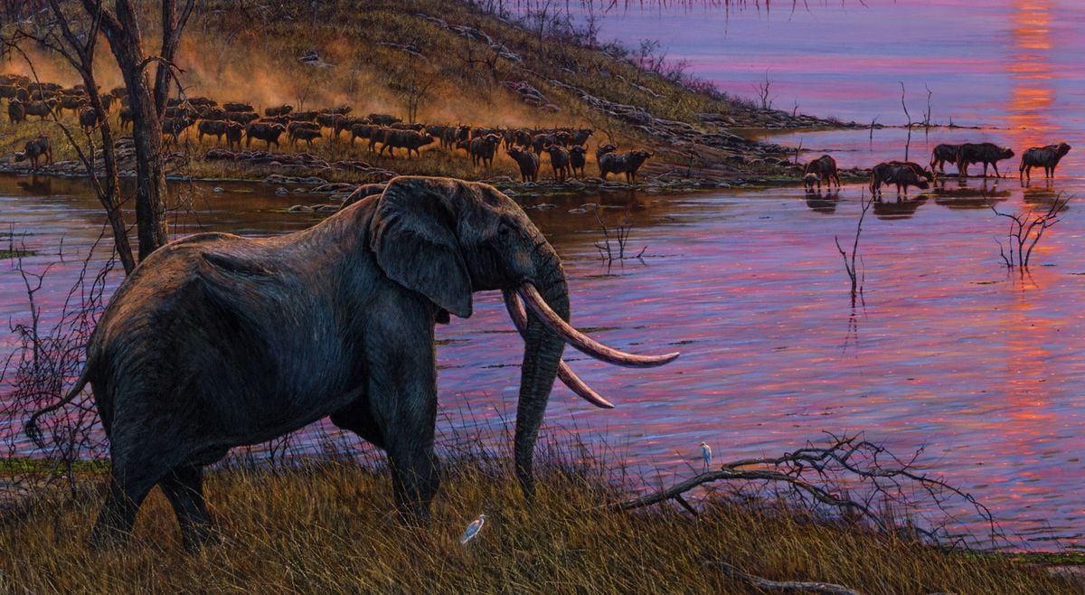 Kariba Days by Larry Norton