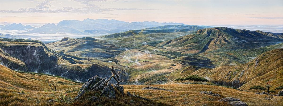 Light on the Valley by Larry Norton