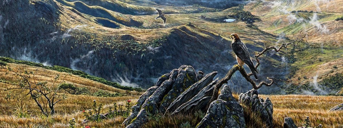 Light on the Valley by Larry Norton