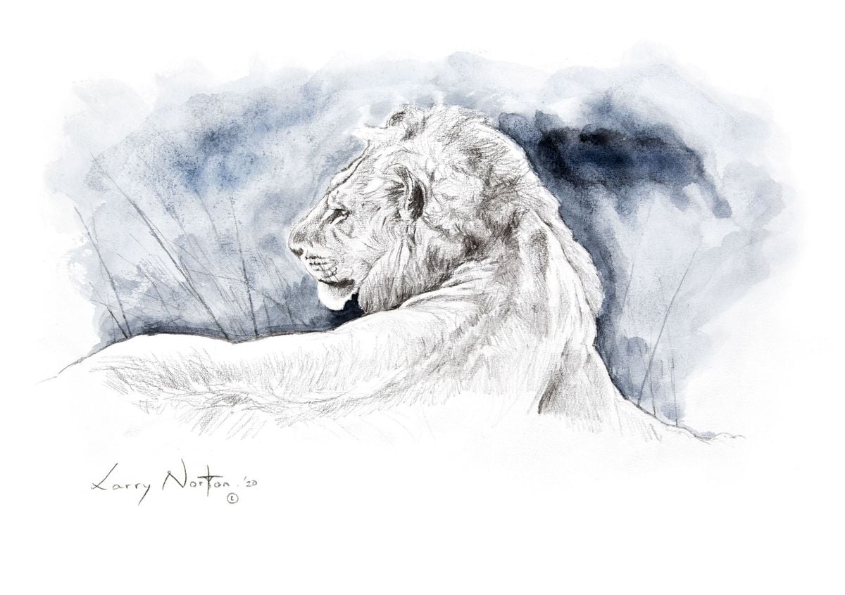 Uncooperative Wildlife Series (Lionesque) by Larry Norton