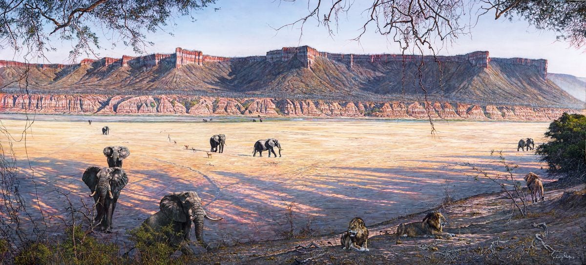 Long Sands of Gonarezhou by Larry Norton