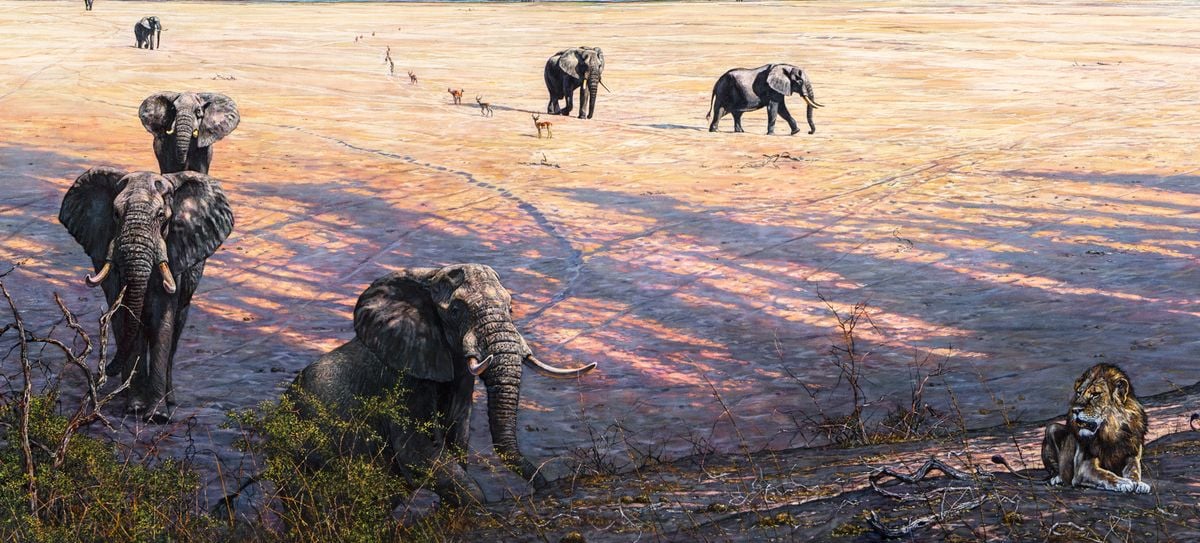Long Sands of Gonarezhou by Larry Norton