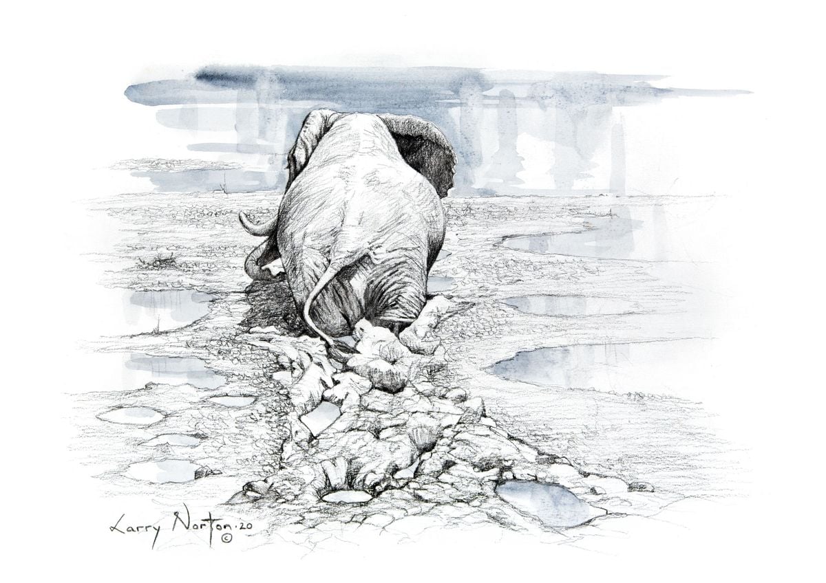 Uncooperative Wildlife Series (Mudwalk) by Larry Norton