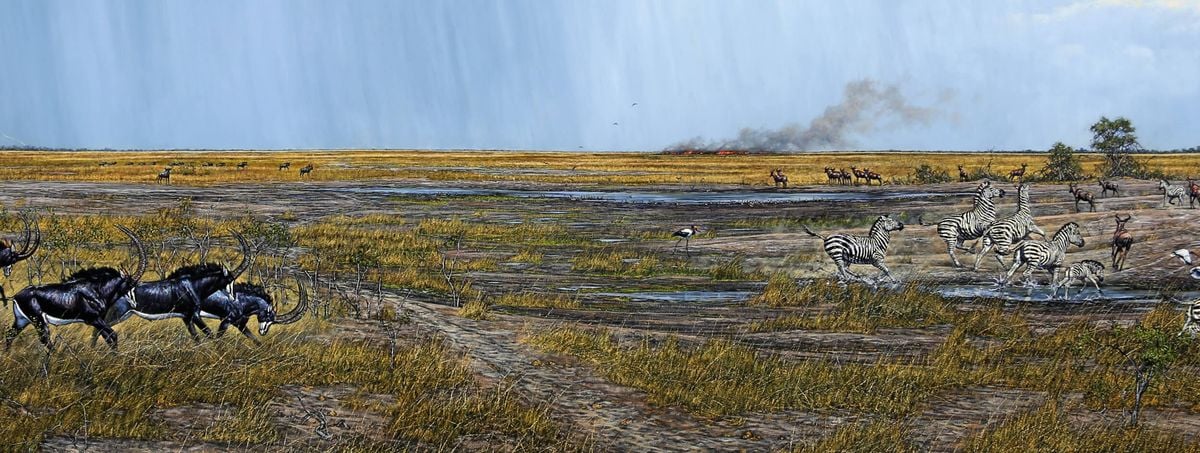 Racing the Storm, Kazuma Pan, November 2021 by Larry Norton