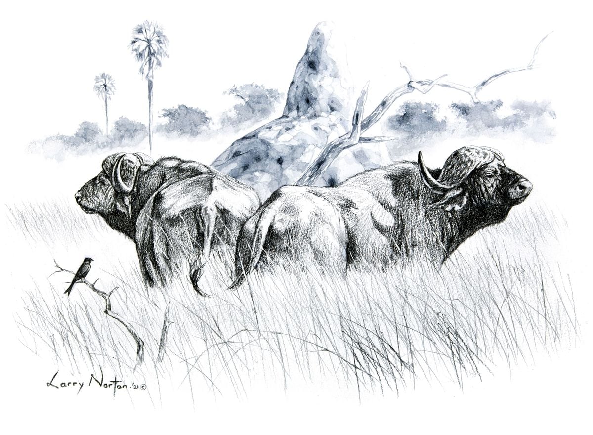 Uncooperative Wildlife Series (Shift in the wind) by Larry Norton