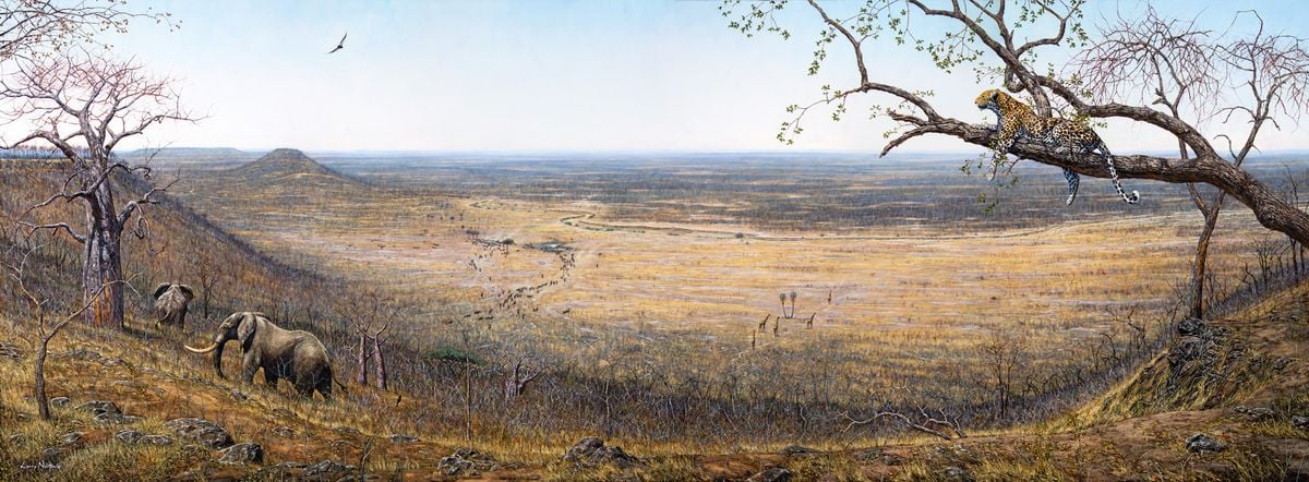 Sinamatella View by Larry Norton