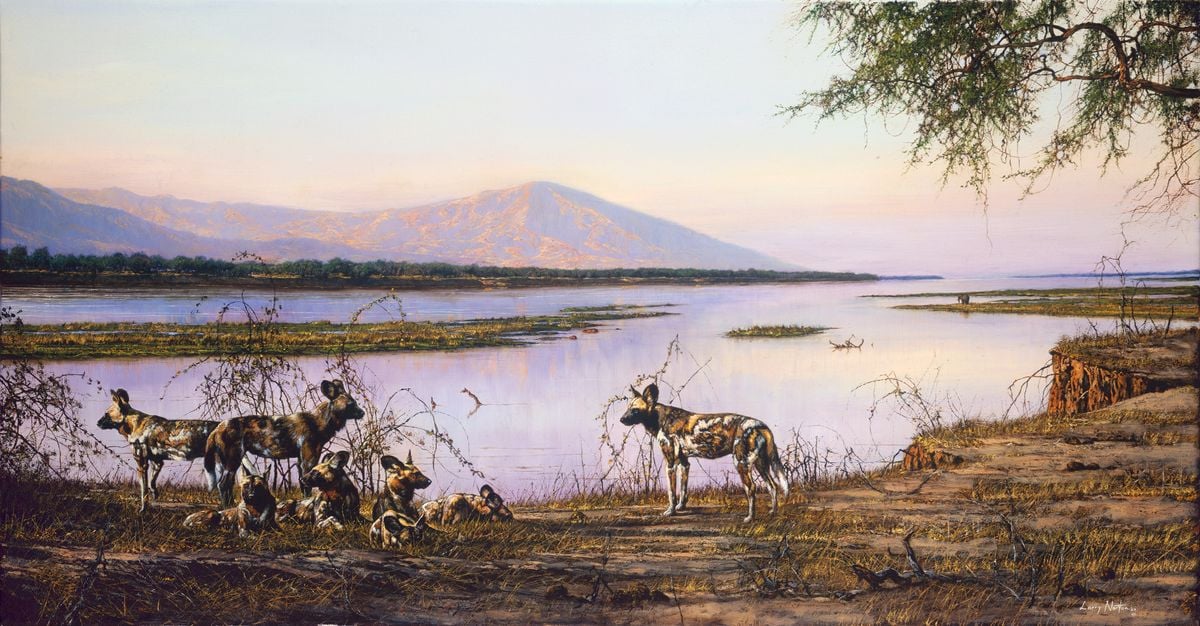 Wild Dogs, Ruckomechi by Larry Norton