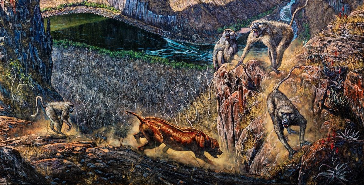 Zambezi Citadel - Ridgeback and Baboons by Larry Norton