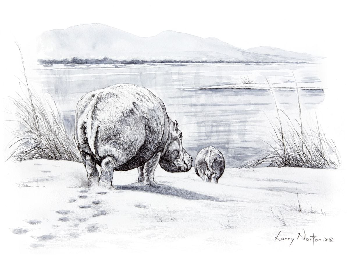 Uncooperative Wildlife Series (Zambezi school run) by Larry Norton