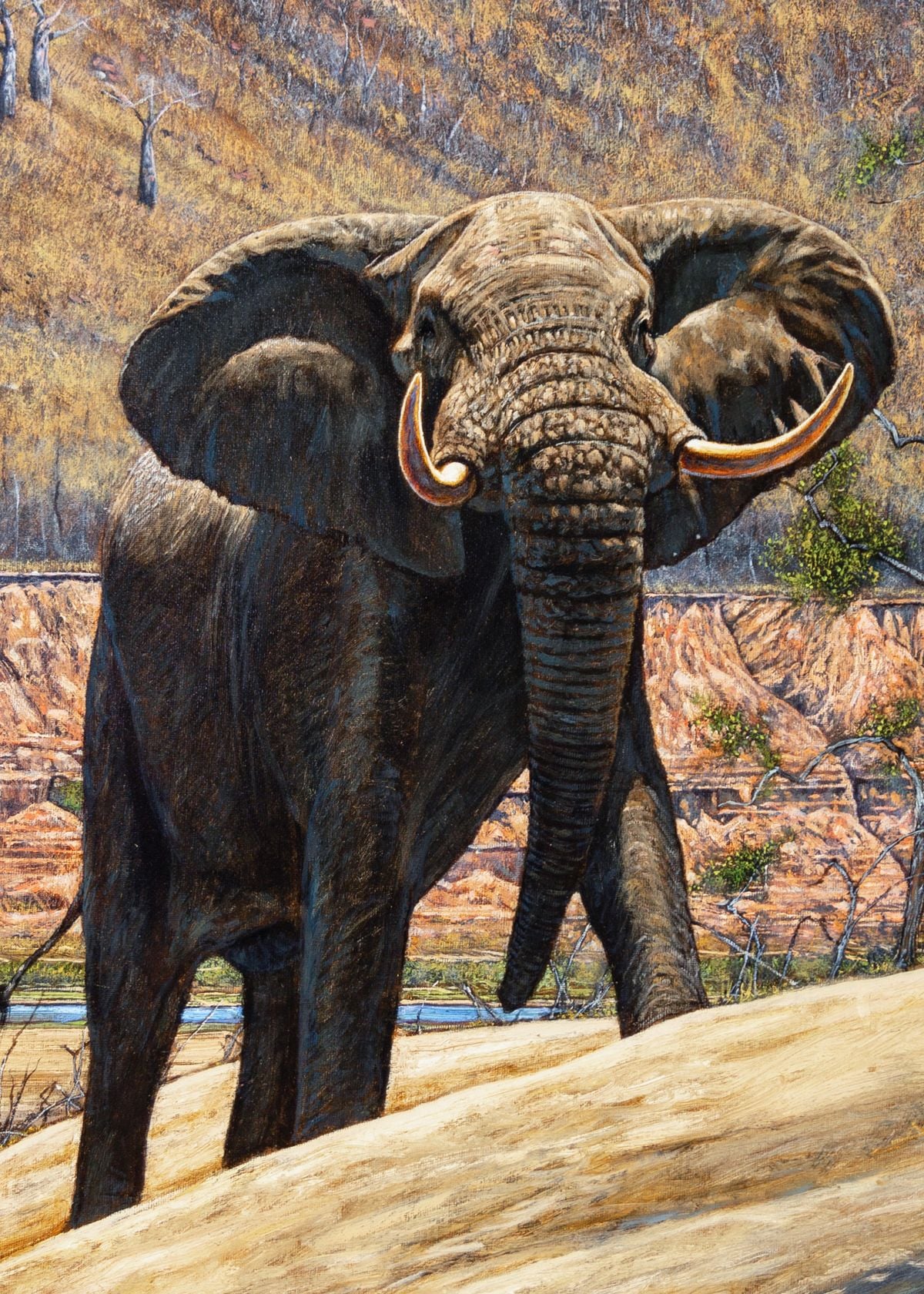 Beneath The Cliffs, Elephant Bull by Larry Norton