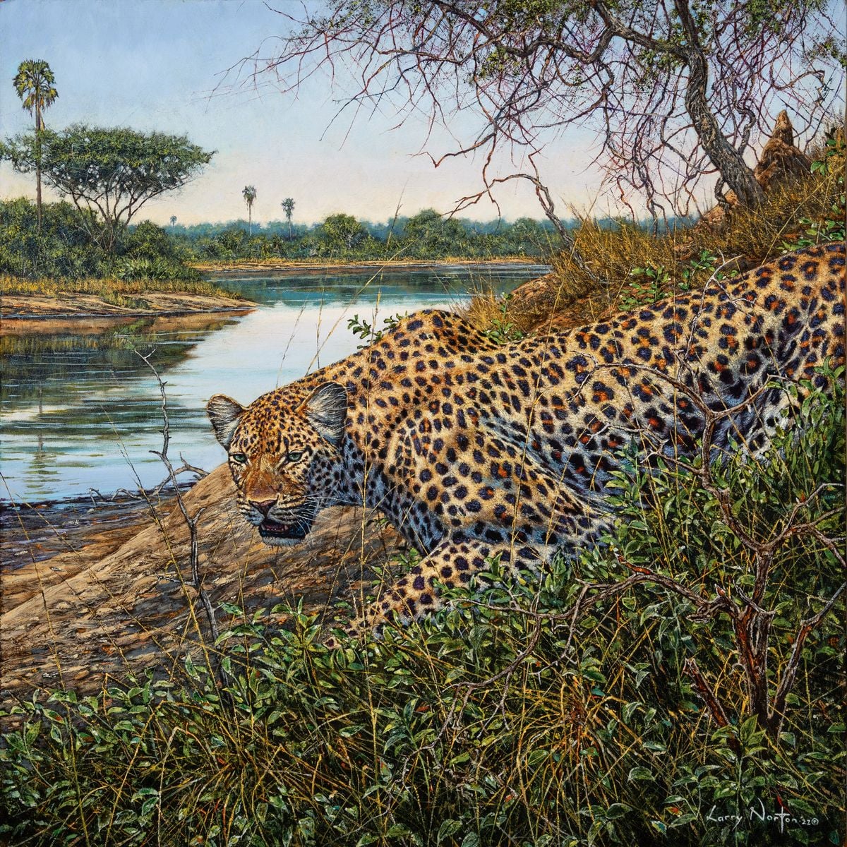 River Leopard by Larry Norton
