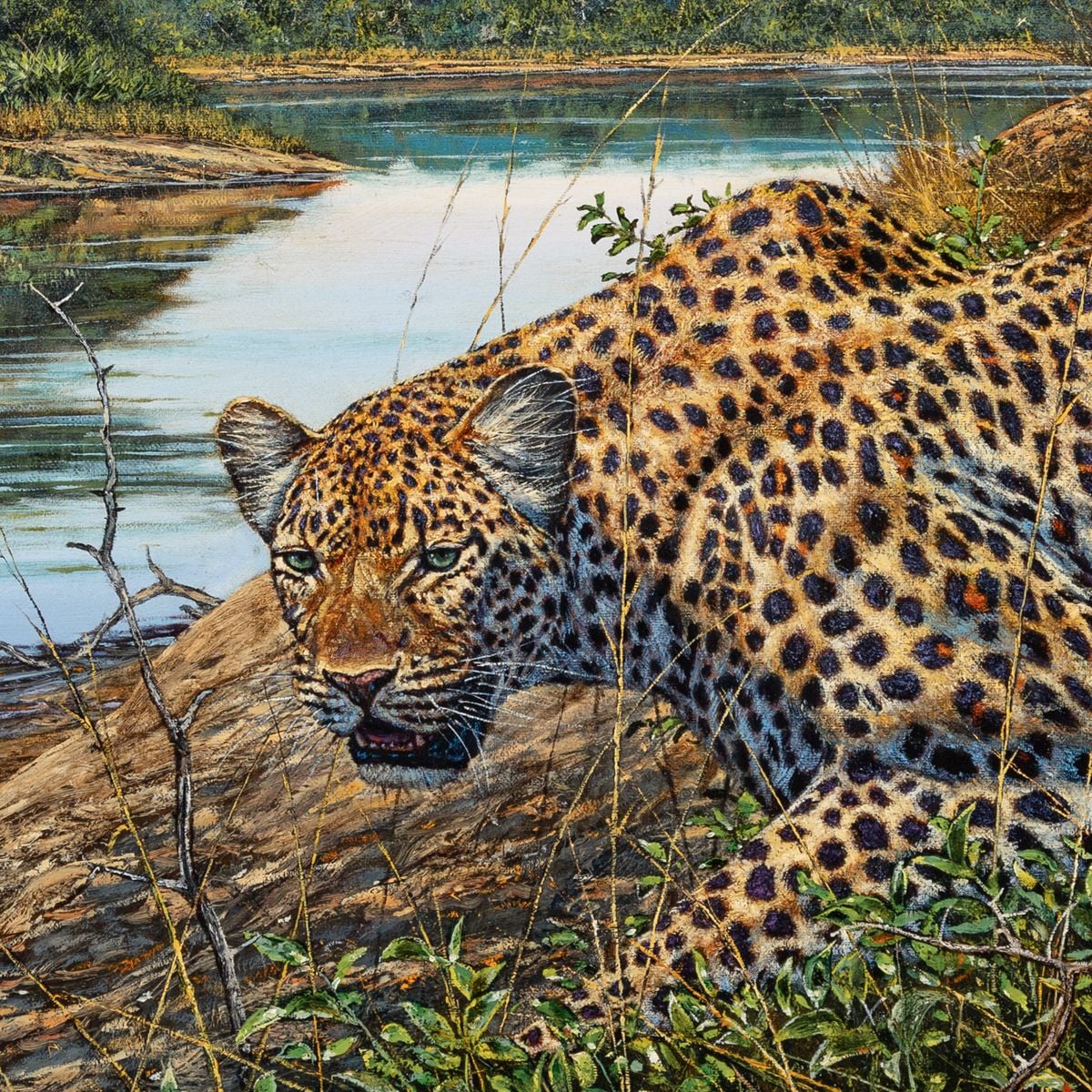 River Leopard by Larry Norton